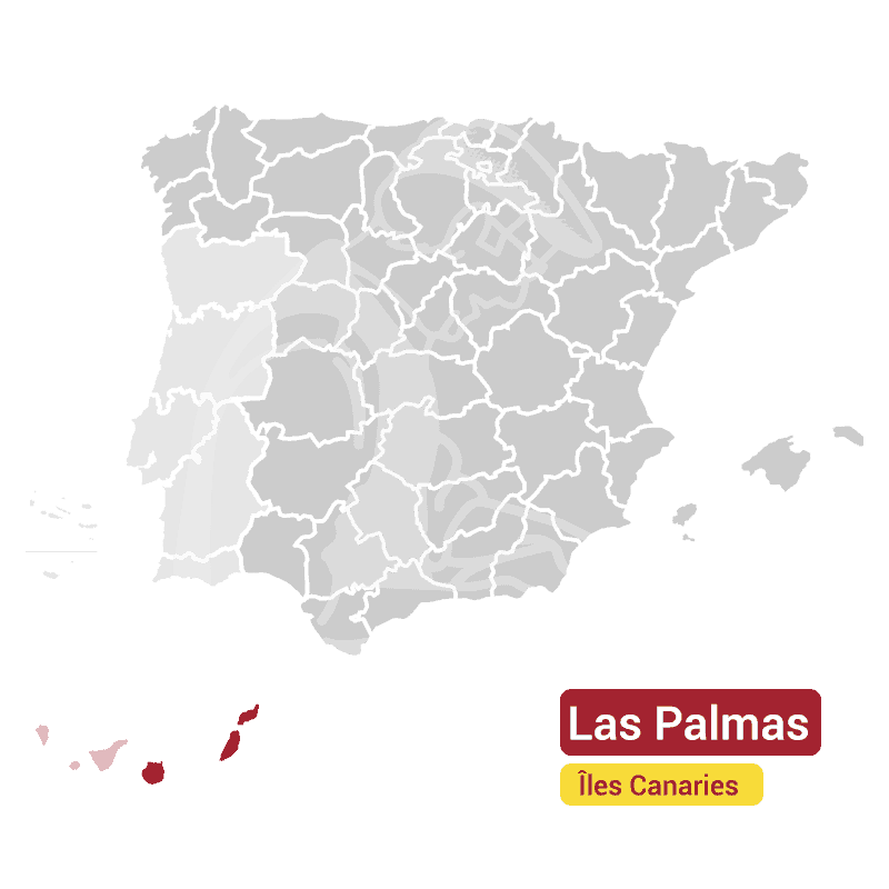 Canary-Palmas