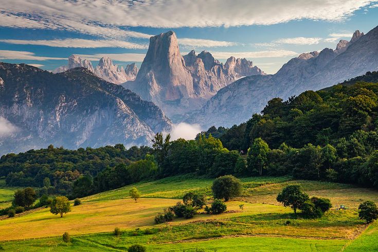 Cabrales roots in Picos de Europa mountains