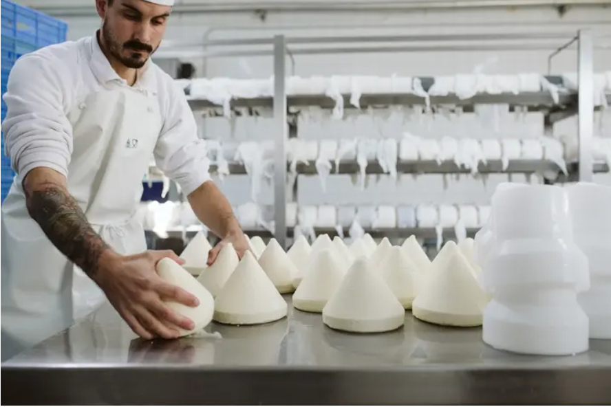 Making of tetilla cheese