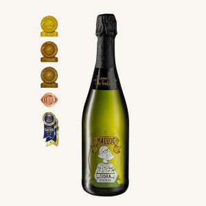 Cidre de pomme bio pétillant, bouteille