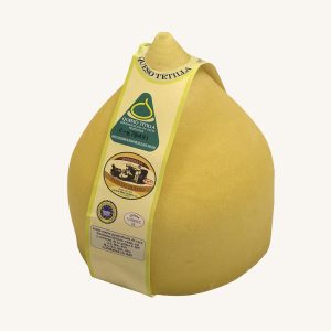 Fromage Tetilla DOP, de Galice, pièce entière