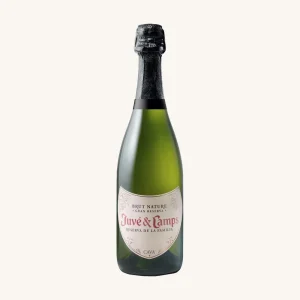 Juvé & Camps Reserva de la Familia sparkling wine Brut Nature, D.O. Cava, from Catalonia, bottle 75cl